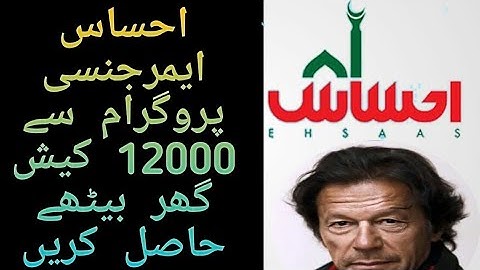 Ehsas Program sms Detail  | Ehsas Emergency Cash 12000 Program Imran Khan Ehsas Cash Program|RODEX