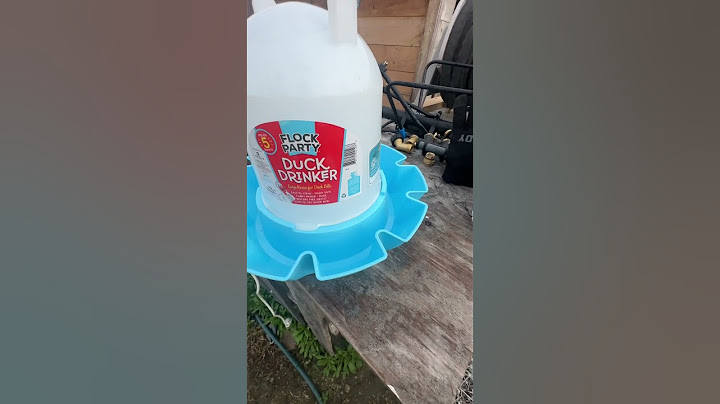 Good or Garbage? Duck Drinker