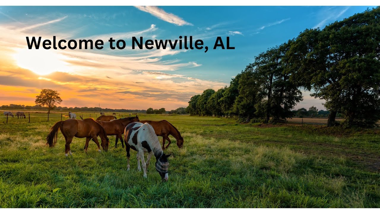MOVE TO ALABAMA Farm for Sale Newville AL. 285 County Rd. 151 Newville, AL YouTube