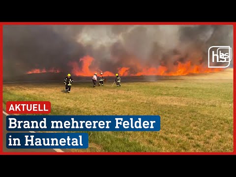 Gefährlicher Großbrand in Haunetal | hessenschau