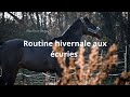 NIGHT ROUTINE D'HIVER 2020 pour mes chevaux