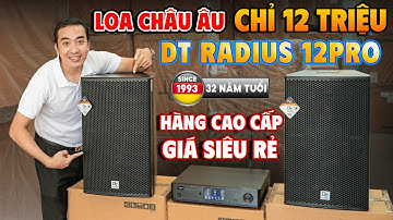 Loa Cao Cấp, Giá Siêu Rẻ! Loa Full DT Radius 12Pro Bass 30, Công Suất 400W, Giá Chỉ 12 Triệu!