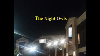 84.  The Night Owls - Cover in Em using Digitech Trio, Strymon Iridium and Cubase 11 screenshot 3