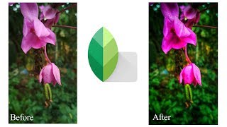 Snapseed Flower Photo Nature editing |Sevens Editography screenshot 5