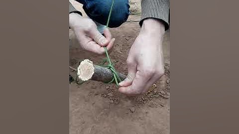 Cách buộc nút dây trại