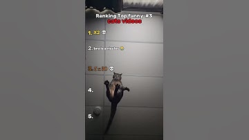 “Ranking Funniest Cats Videos #3 🐱🐾  #catvideos