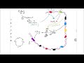 Régulation du cycle cellulaire