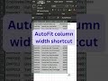 Stop Wasting Time Auto Adjust Excel Widths #excel #excelshortcuts #office #shorts#shortsfeed