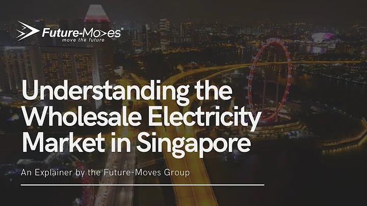 Understanding the Wholesale Electricity Market in Singapore - DayDayNews