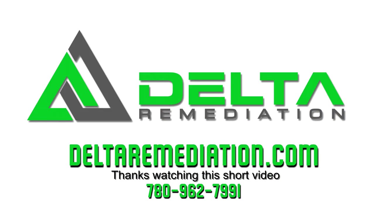 Delta Remediation General Information