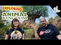 Disney’s Animal Kingdom: Our Favorite Park, Kitra Got Sick On Expedition Everest!