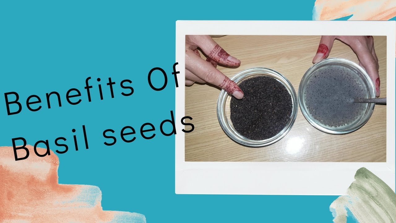 Tukh Malanga Ke Fayde Benefits Of Basil Seed Uses Of Basil Seeds