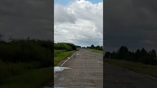 лисы атакуют Завьяловский район #алтай #алтайкарулит #сибирь