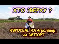 🤠ПРО ВИБАГЛИВІ ПОПКИ, ГОЛОСУЙТЕ🌻 ХТО СИПНЕ БІЛЬШЕ⁉️