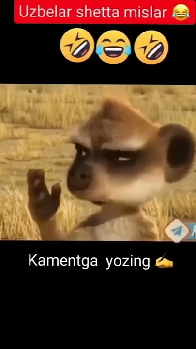 Uzbeklar kanisila 🇸🇱🇸🇱