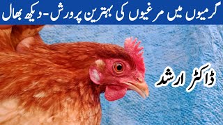 Poultry Farming in Summer in Pakistan 2022 with Dr. Arshad | Garmi Mein Murgi ki Care