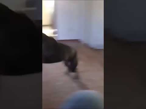 gucci mane son Sit down I gotta talk to you