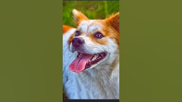 How To Joint Picture Editing Remove Background in Photoshop cc | Edit Zone Bangla Creation 2021