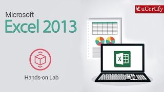 Microsoft Excel 2013 Labs screenshot 4