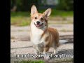 I’m not scared…
