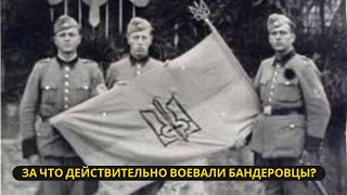 За какую независимость на самом деле воевали бандеровцы в годы Великой Отечественной?