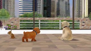 Nintendogs Ambience (3 Dogs): Urban Living Day