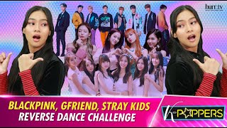 BLACKPINK, GFRIEND, STRAY KIDS Reverse Dance | K-Poppers