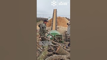 Turning Logs into Wood Chips-Good tools and machinery can increase work efficiency