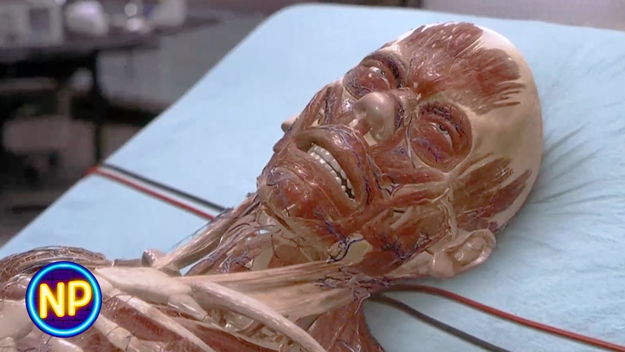 ⁣I'd Recognize Kevin Bacon Anywhere | Hollow Man (2000) | Now Playing