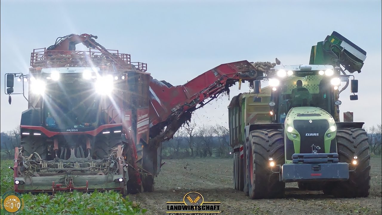 30 TONNEN-BUNKER | REXOR 6300 PLATINUM Rübenkampagne 24/7 für die Nordzucker Uelzen Rübenernte 2021