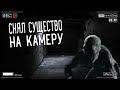 ЖУТКОЕ СУЩЕСТВО ПОПАЛО НА КАМЕРУ! ОХОТА НА РЕЙКА В ЛОГОВЕ