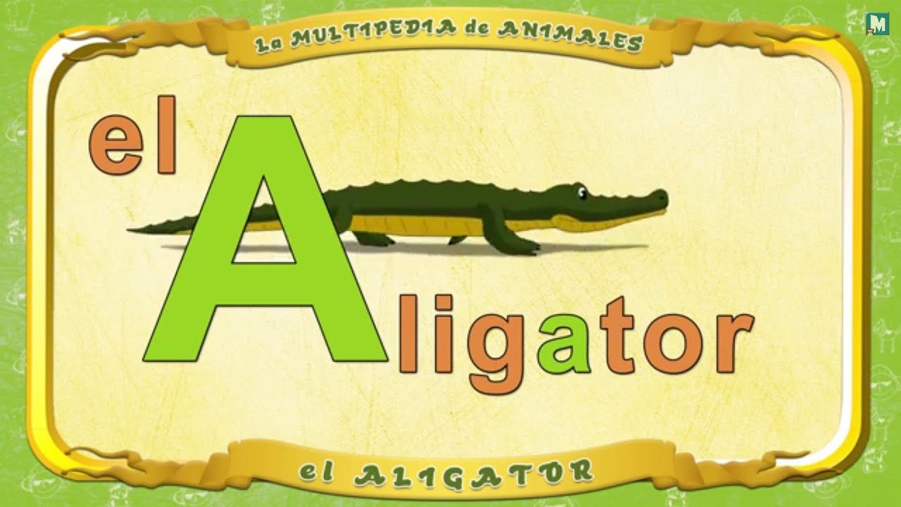 Multipedia De Los Animales Letra A El Aligator Youtube