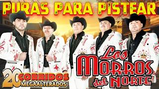 🍺 Mix Pa' Pistear: Los Morros del Norte - Puros Corridos Chingones (Éxitos Inolvidables) 🌪️