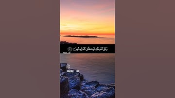 ما تيسر من سورة التوبة 😊