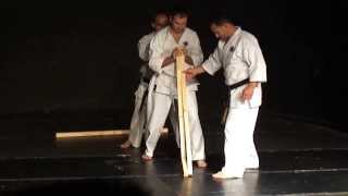 Karate Uechi-Ryu Breaking (Mihail Vdovicenco & Vitali Chiron ) \