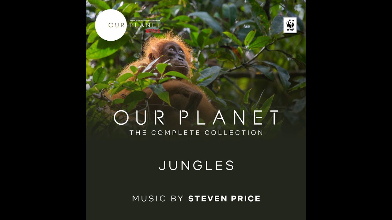 Jungles Our The Complete Collection OST YouTube