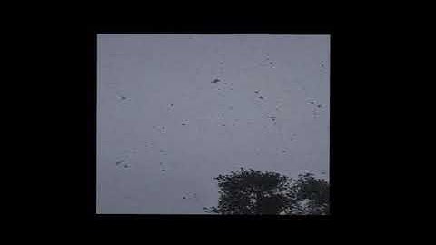 سورة الفاتحه كاملة القارئ حسام الدين عبادي