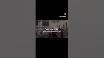 وشجرة تخرج من طور سيناء - سورة المؤمنون - محمد اللحيدان