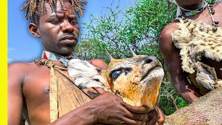 ¡¡Animales africanos insólitos en la tribu Hadza!!
