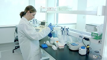 Visium Spatial Gene Expression Protocol | cDNA Cleanup - SPRIselect