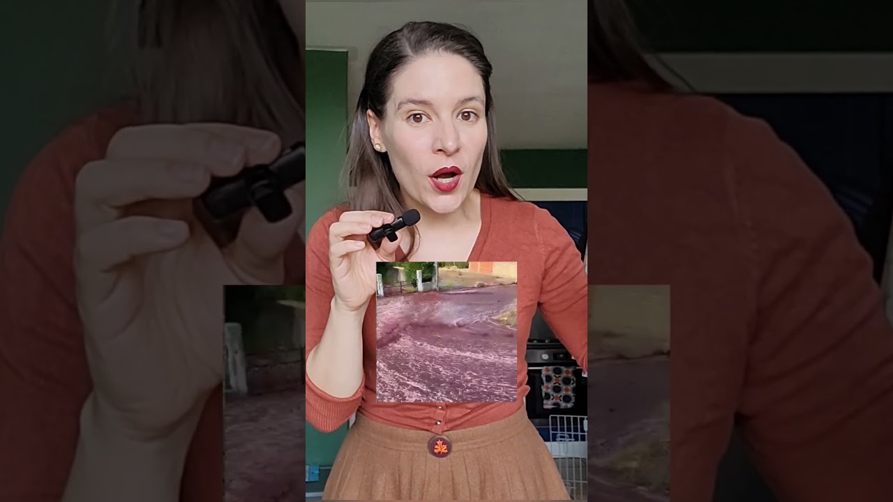 We have not progressed at all and that's ok 