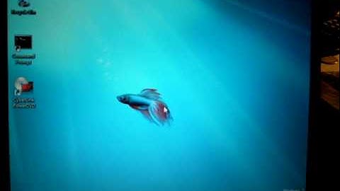 Windows 7 ultimate boot up