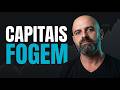Capitais fogem para AI, Nasdaq brilha