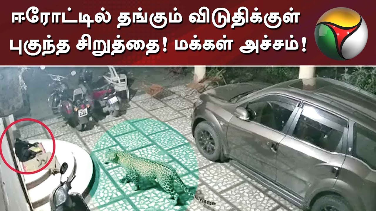 live tamil news 7 tv channels ஈரோட்டில் தங்கும் விடுதிக்குள் புகுந்த சிறுத்தை! மக்கள் அச்சம்!