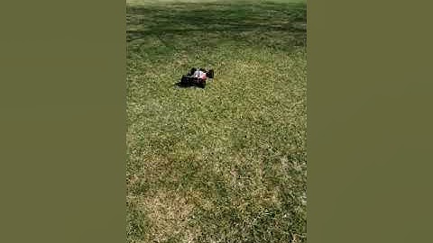 Arrma typhon 3s bashing on grass