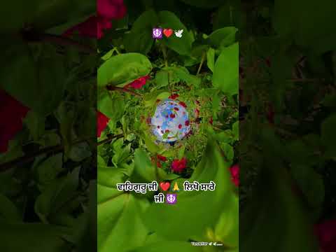 🙏🕊️ਵਾਹਿਗੁਰੂ ਜੀ ❤️🪯 #unfrez #_viral #_shorts #_trending #unfrezzmyaccount #_upsc #unboxing #