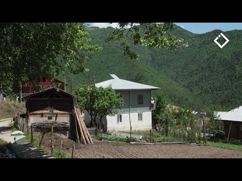 შუახევის მუნიციპალიტეტი სოფელი დაბაძველი | ერთი დღე სოფელში | 10.06.2023