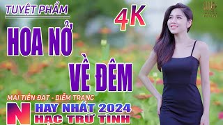 Hoa Nở Về Đêm, Hái Trộm Hoa Rừng🛑 Nhạc Trữ Tình Hay Nhất 2024 - Lk Bolero Nhạc Vàng Xưa Bất Hủ