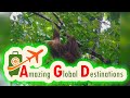 AGD - Review Gatun Lake Monkeys and Wildlife Tour – Panama Canal Cruise