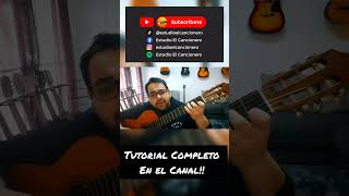 Vídeo de Yaguatirica